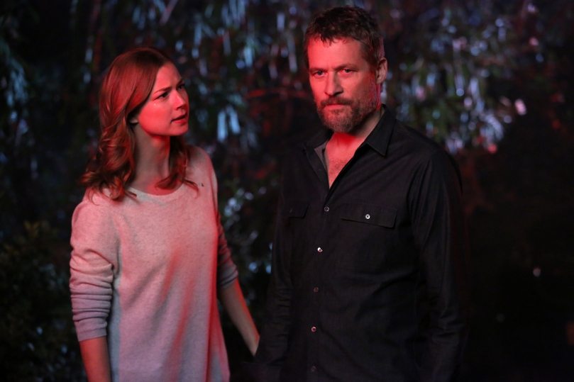 Revenge Contact Image